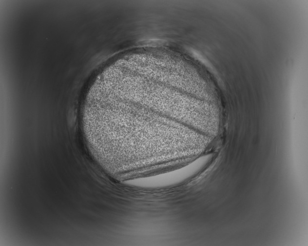 X0000088421259200706191209