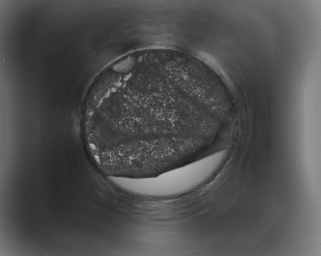 X0000088421260200706191209