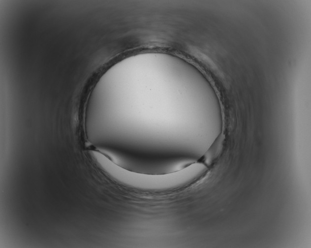 X0000088421261200706191209