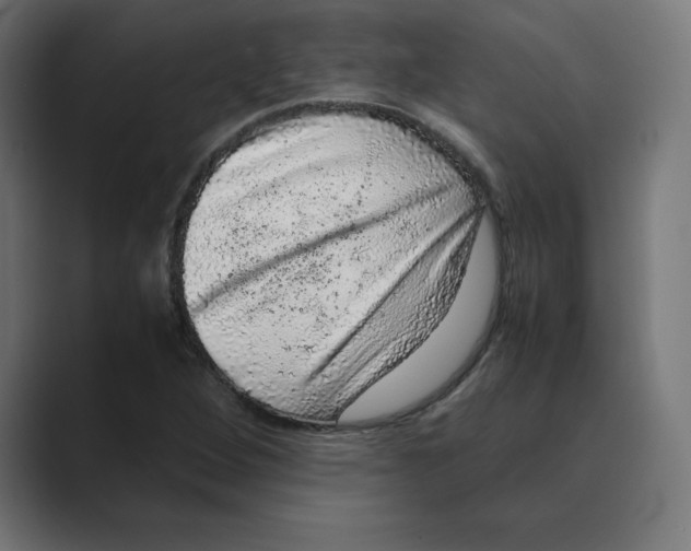 X0000088421264200706191209