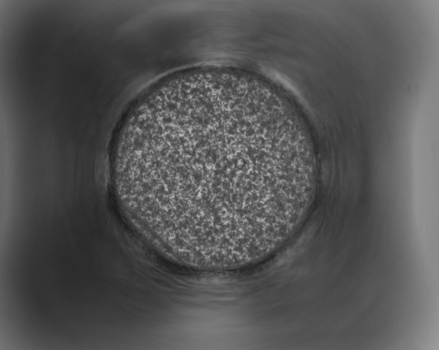 X0000088421267200706191209