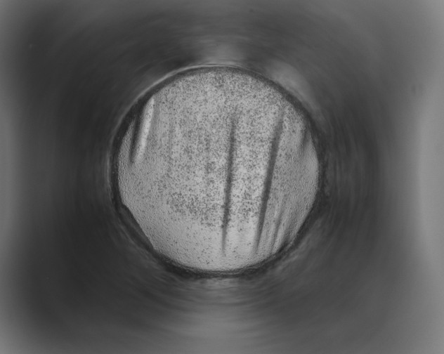 X0000088421268200706191209