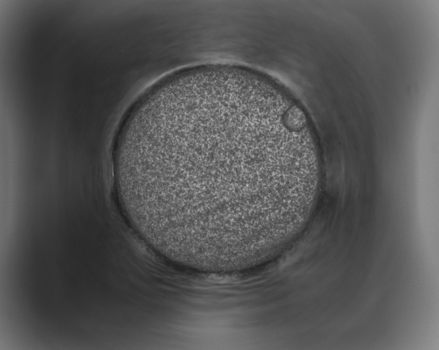 X0000088421271200706191209