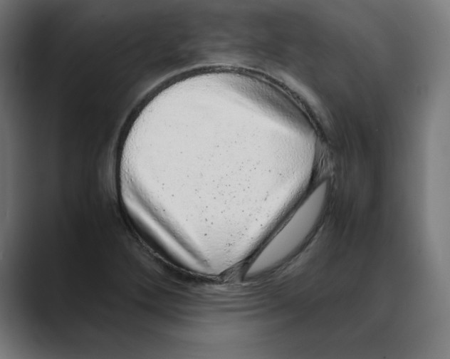 X0000088421272200706191209