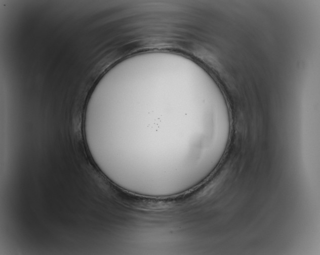X0000088421273200706191209