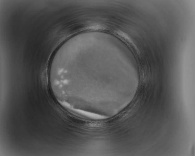 X0000088421274200706191209