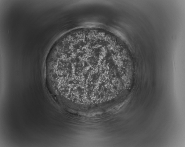 X0000088421275200706191209