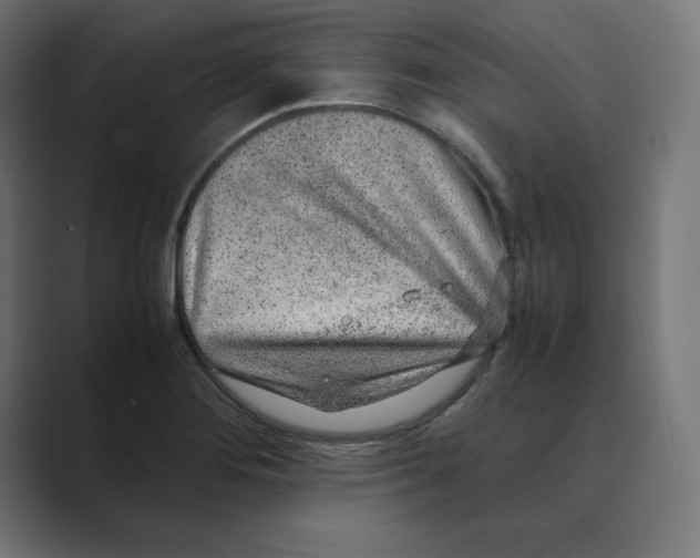 X0000088421276200706191209