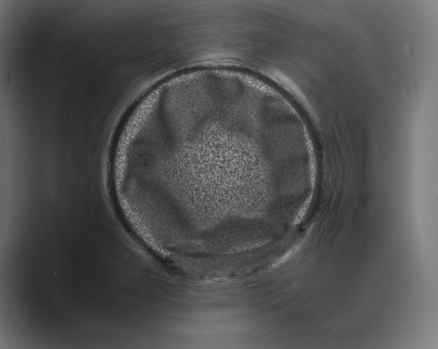 X0000088421277200706191209