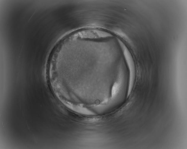 X0000088421278200706191209