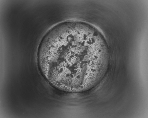 X0000088421279200706191209