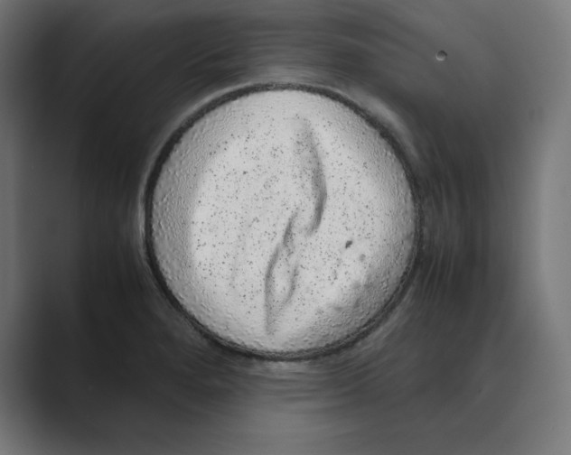 X0000088421280200706191209