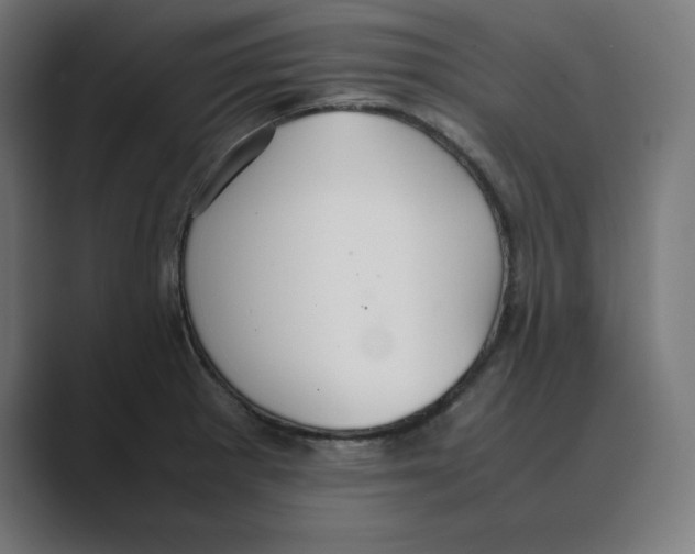 X0000088421281200706191209