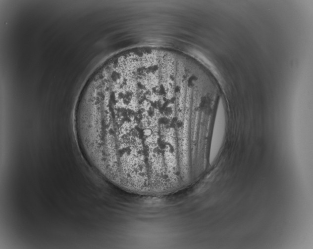 X0000088421283200706191209