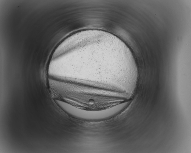 X0000088421284200706191209