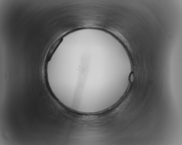 X0000088421285200706191209