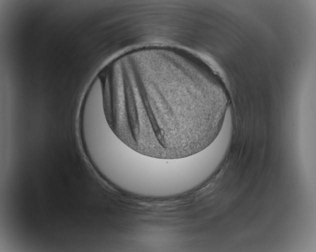 X0000088421287200706191209