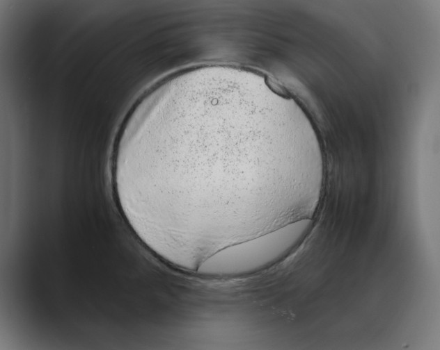 X0000088421288200706191209