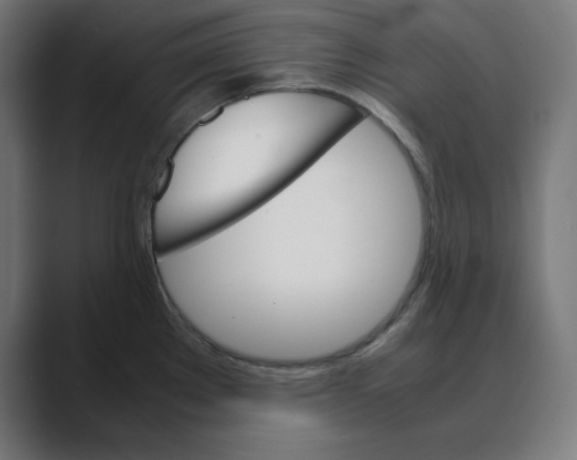 X0000088421289200706191209