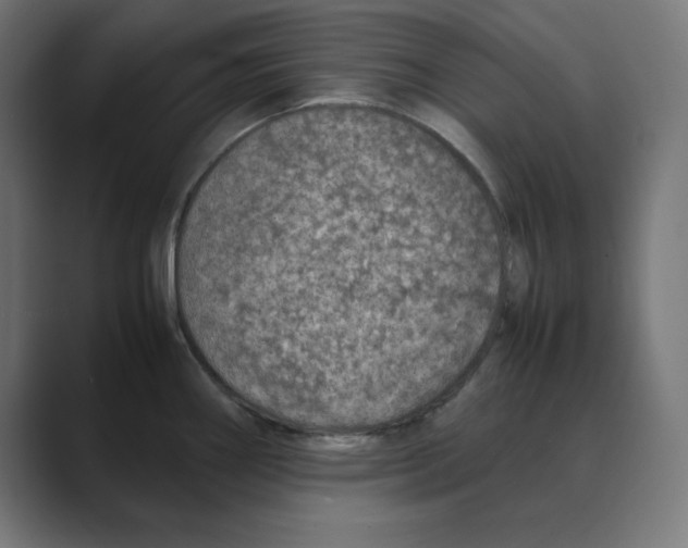 X0000088421290200706191209