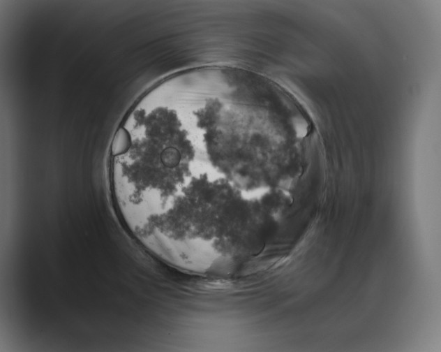 X0000088421291200706191209