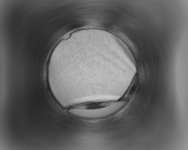 X0000088421292200706191209