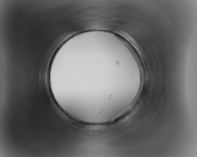 X0000088421293200706191209