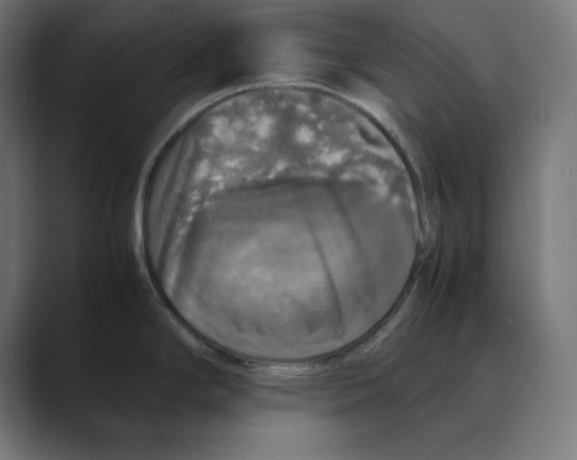 X0000088421294200706191209