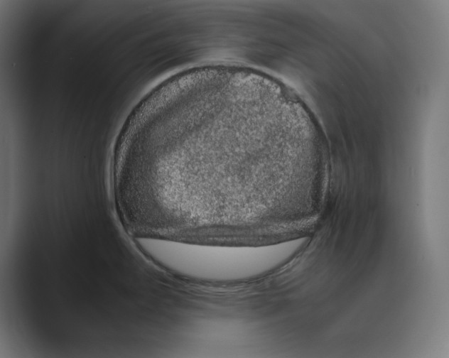 X0000088421295200706191209