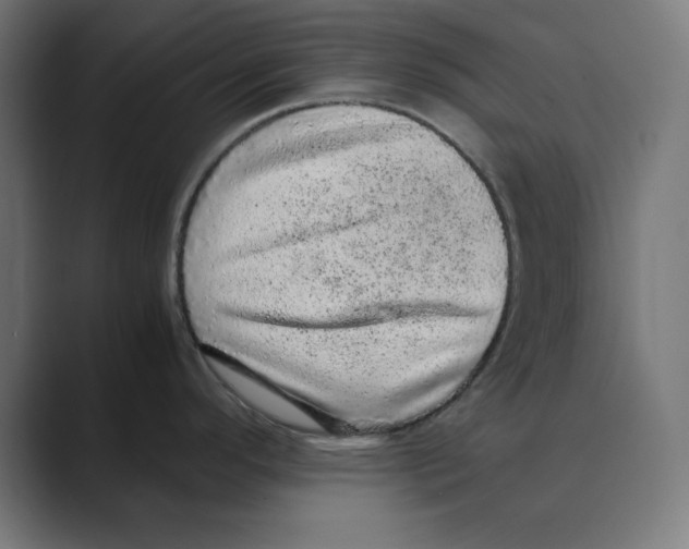 X0000088421296200706191209