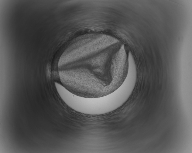X0000088421298200706191208