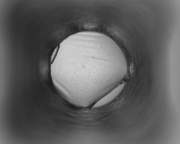 X0000088421299200706191208
