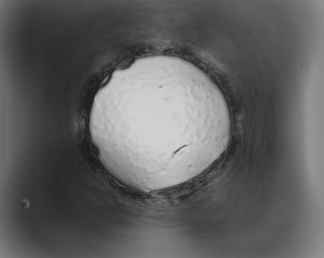 X0000088421302200706191209