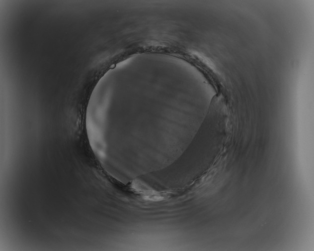 X0000088421303200706191209