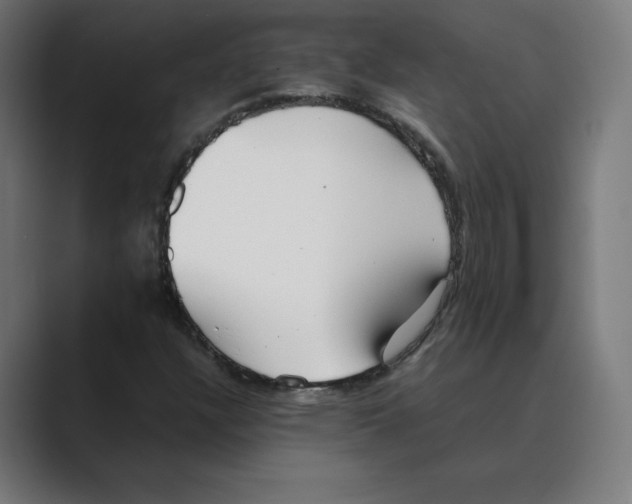 X0000088421304200706191209