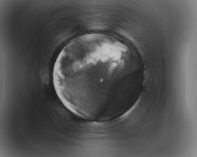X0000088421306200706191209