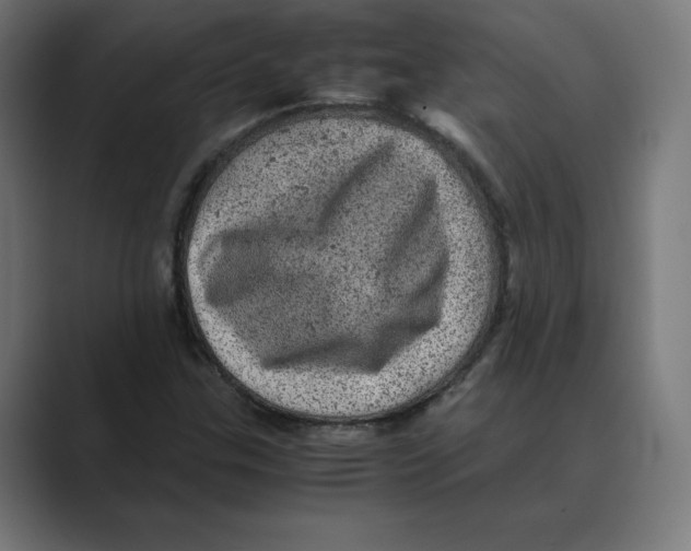 X0000088421307200706191209