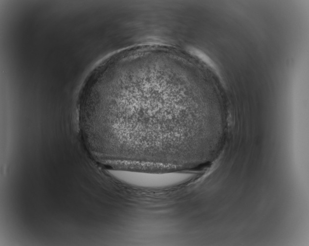 X0000088421310200706191209