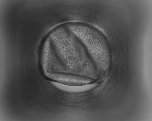 X0000088421311200706191209