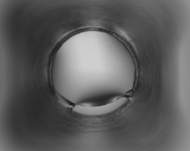 X0000088421312200706191209