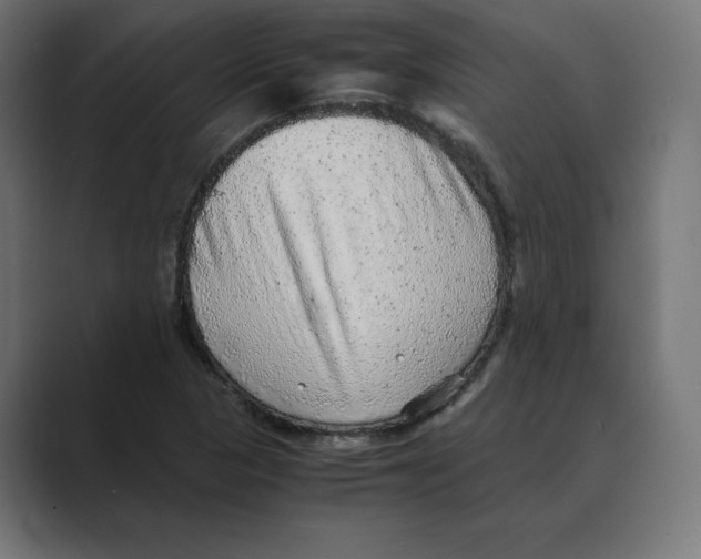 X0000088421313200706191209