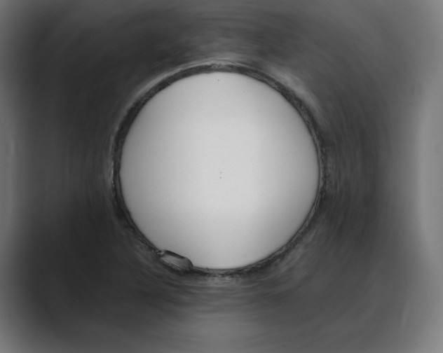X0000088421316200706191209