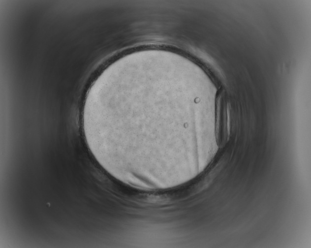 X0000088421318200706191209
