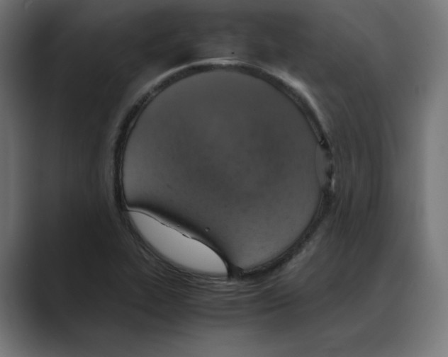 X0000088421319200706191209
