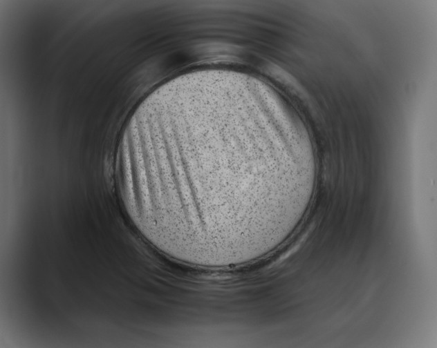 X0000088421321200706191209