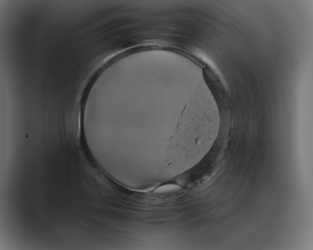 X0000088421323200706191209