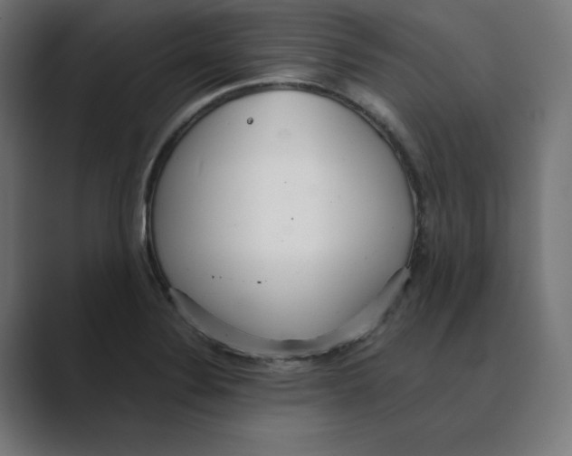 X0000088421324200706191209