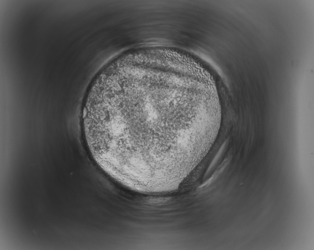 X0000088421325200706191209