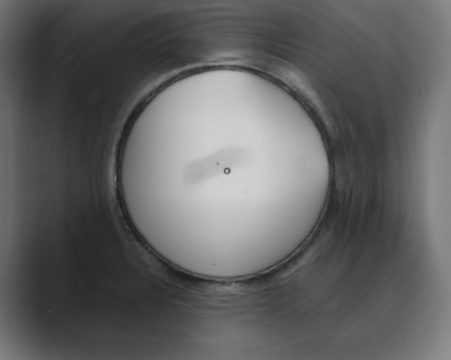 X0000088421328200706191209