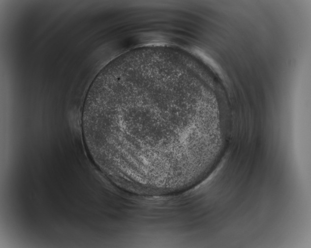 X0000088421329200706191209